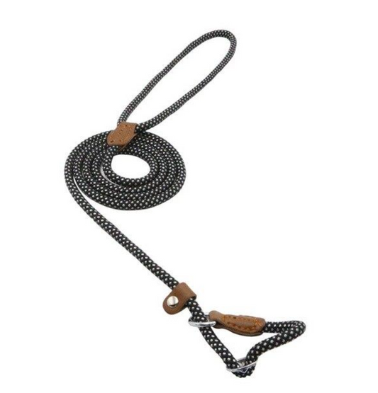 Nylon & PU Leather Collar and Leash Set