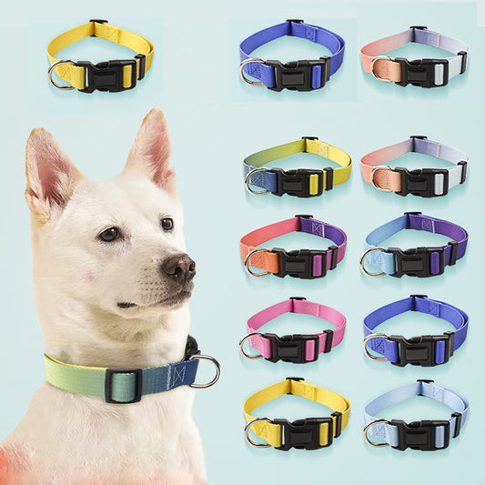 Gradient Nylon Collar & Leash (Sold Separately or as a Set)